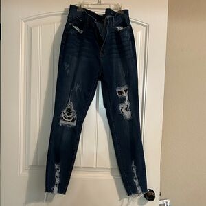 Judy Blue Dark Distressed Skinny Jeans